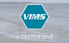 deeper_dive_widget.png