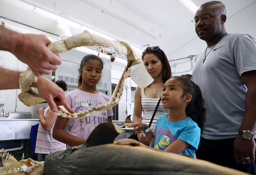 Marine Science Day visitors