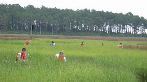 Canoeing in Guinea Marshes