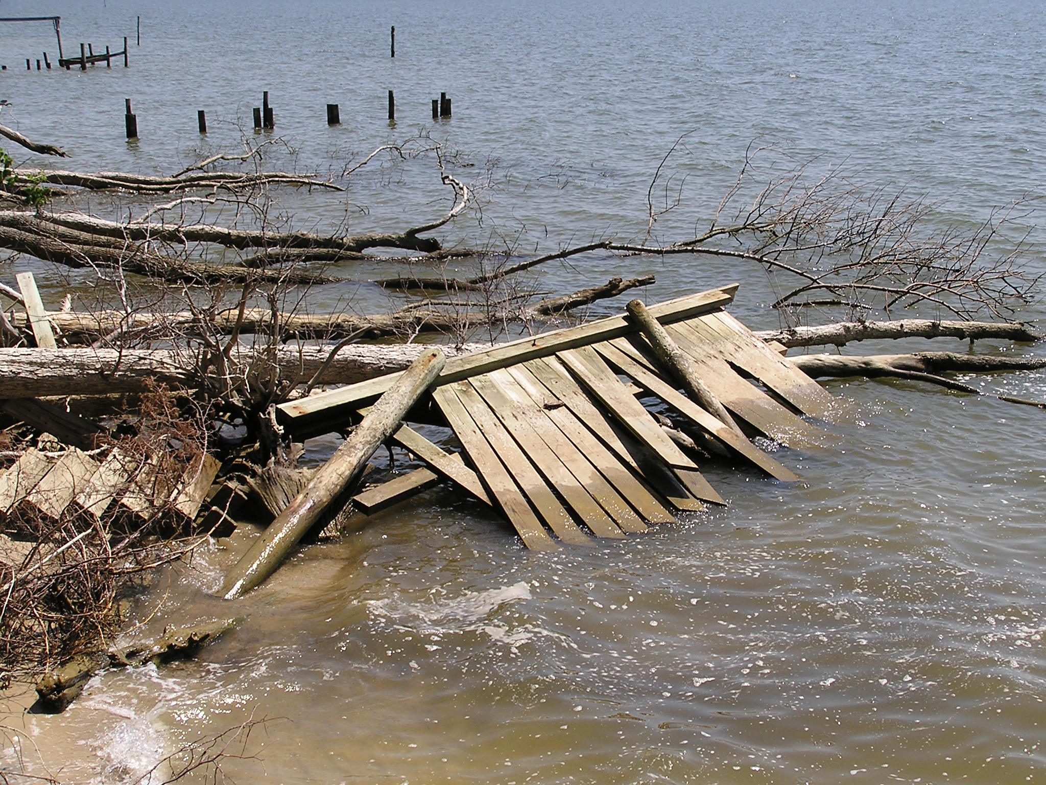 Derelict Bulkhead