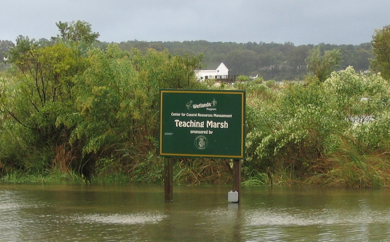 Nuisance Flooding