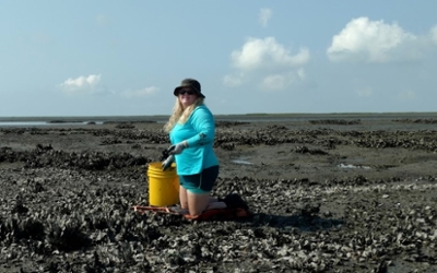 Sampling an Oyster Reef