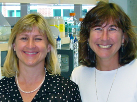 VIMS professors Deborah Bronk and Deborah Steinberg.