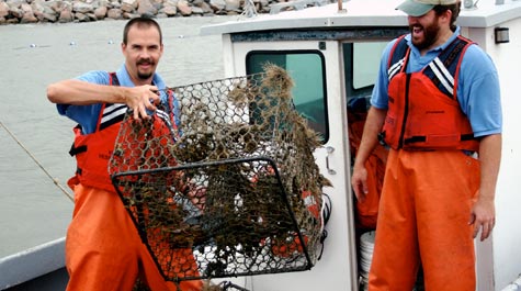 Derelict crab pots