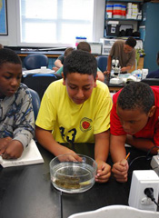 QLMS students check out the oyster reef species.