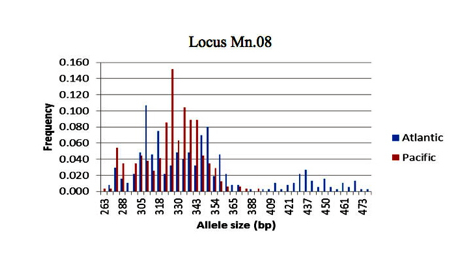 Genetic Markers