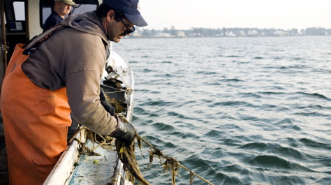 Crab pot retrieval