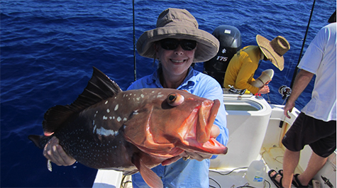 Red Grouper