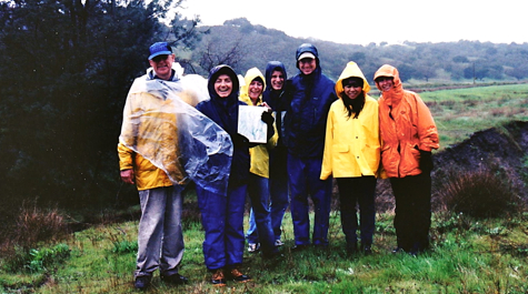 A rainy day in the field