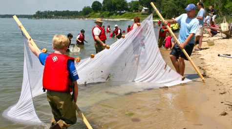 Seine Net