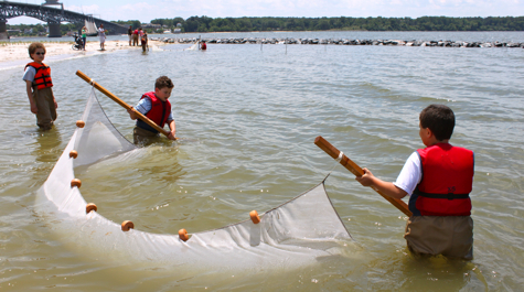 Seine Netting