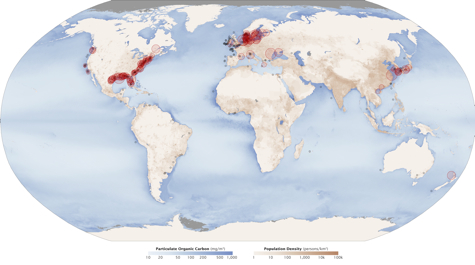 Global Dead Zones