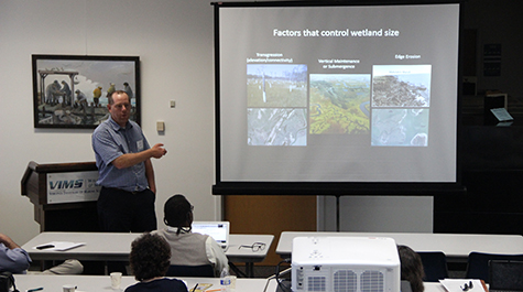 Tidal Marsh Resilience