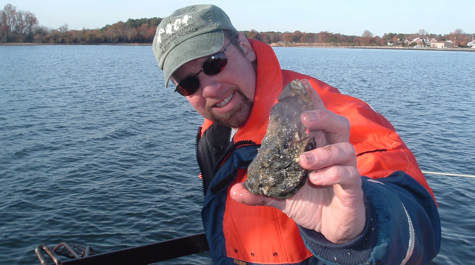 Large Oyster