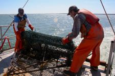 Alison Smith and Durand Ward prepare to deploy the crab dredge from the R/V Bay Eagle at a site in the York River. ©D. Malmquist/VIMS.