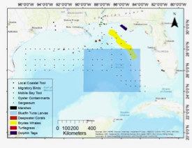 NOAA is funding adaptation of VIMS' living shoreline model to coastal bays in Texas, Louisiana, and Alabama.  The model uses coastal inventory data to recommend a best management practice for a chosen shoreline segment. © NOAA Restore. Click image to learn more.