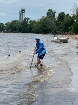 Researcher Jack Buchanan seines on the James River for juvenile striped bass. © Matthew Oliver/VIMS.