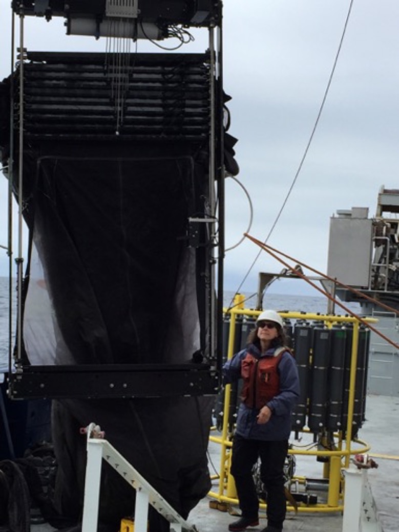 VIMS professor Deborah Steinberg prepares to deploy a MOCNESS sampling net during the 2018 EXPORTS cruise to the northeastern Pacific.© Jason Graff/OSU.