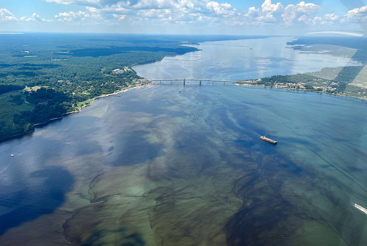 A bloom of the dinoflagellate {em}Margalefidinium polykrikoides{/em} creates patterns in the York River. © Savannah Mapes.