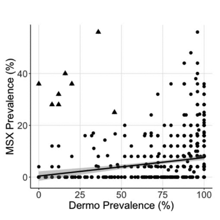 Poslednik and her co-authors examined the prevalence and intensity of two common oyster microparasites to better understand their interactions and patterns of co-infection.