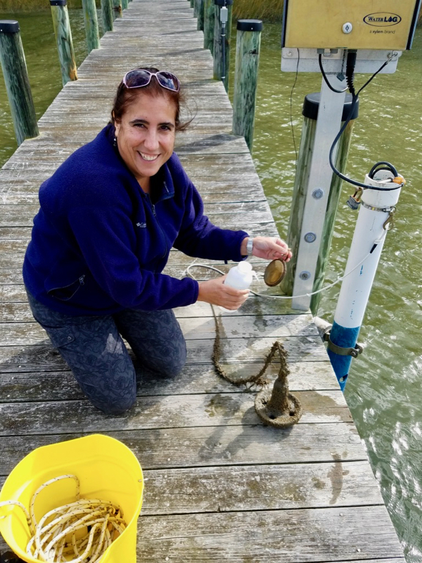 Marta Sanderson, a marine scientist in Dr. Juliette Smith's lab group, cleans a passive sampler that will be used to identify algal byproducts. © J. Smith/VIMS.