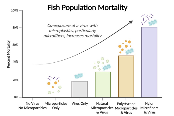 Graphical Abstract