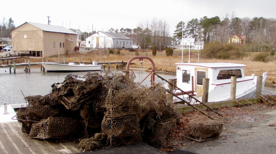 Derelict Crab Traps