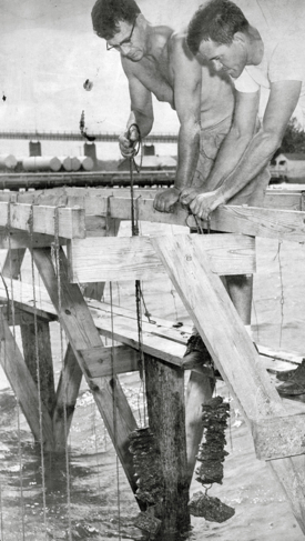 Dexter Haven (R) and Jay Andrews inspect a string of oysters from a VIMS pier.