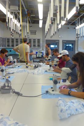 New students practice lab skills during their traditional first-week field trip to VIMS' Eastern Shore Lab. ©D. Johnson.