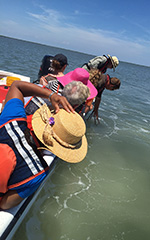 Dr. Richard Snyder performs a sample tow on the Eastern Shore for a group of VIMS staff visiting from Gloucester Point.