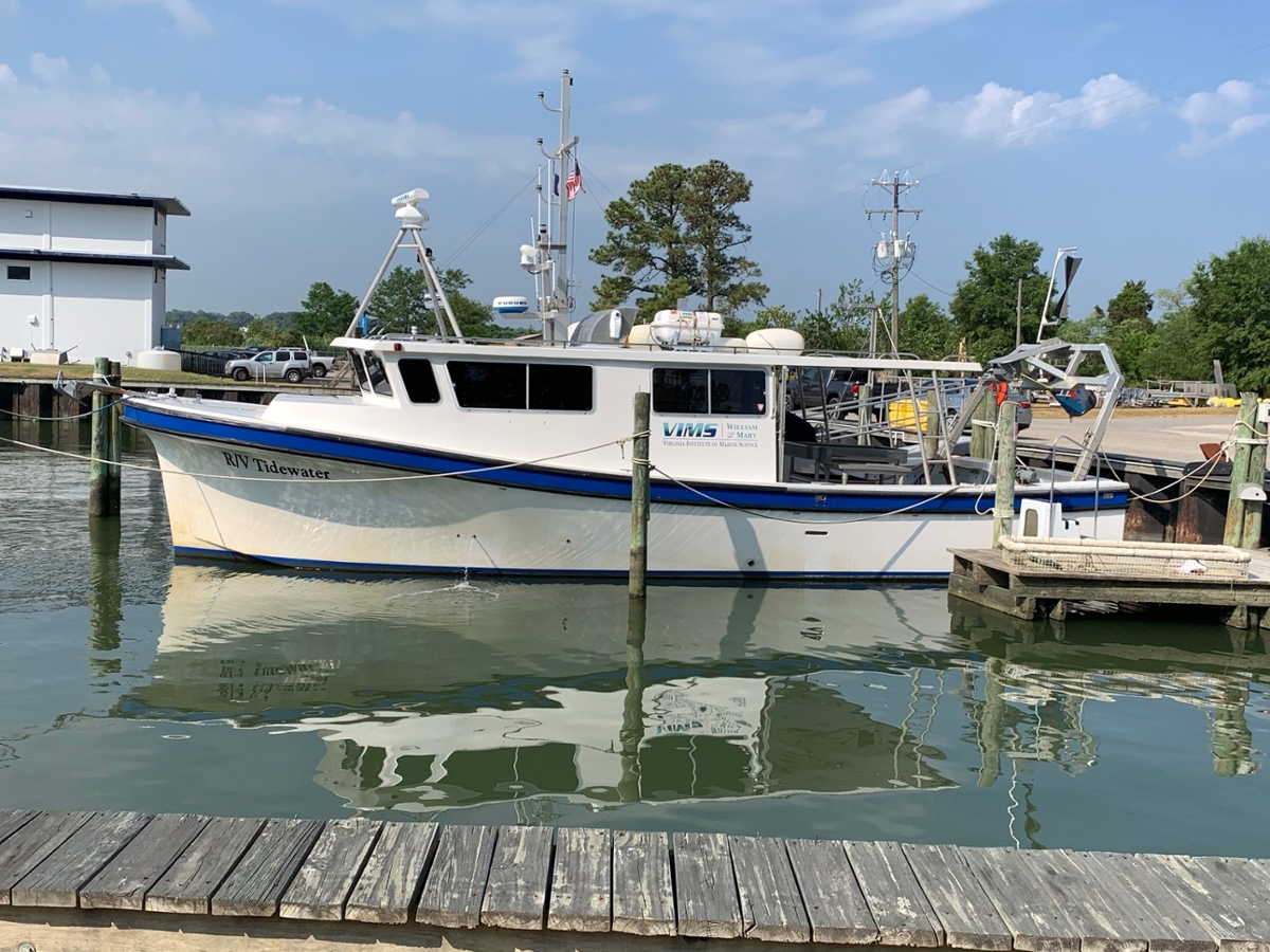 R/V Tidewater