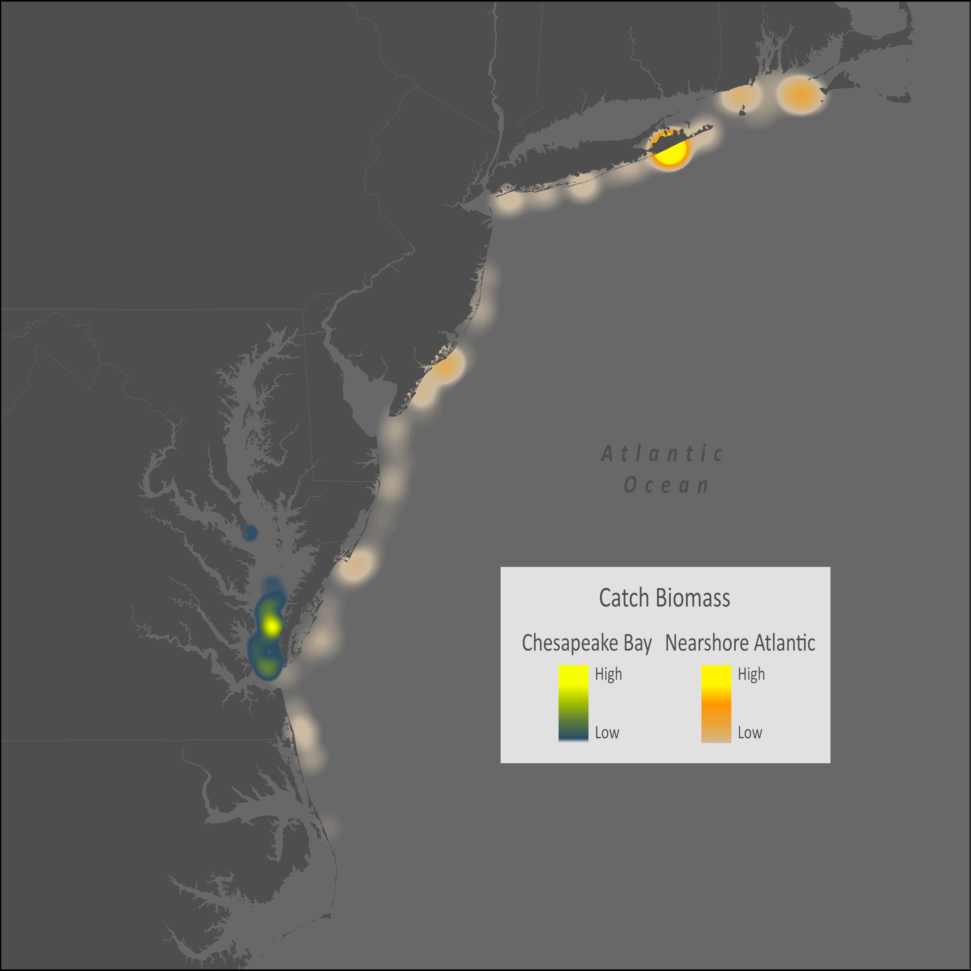 Blueback Herring Distribution