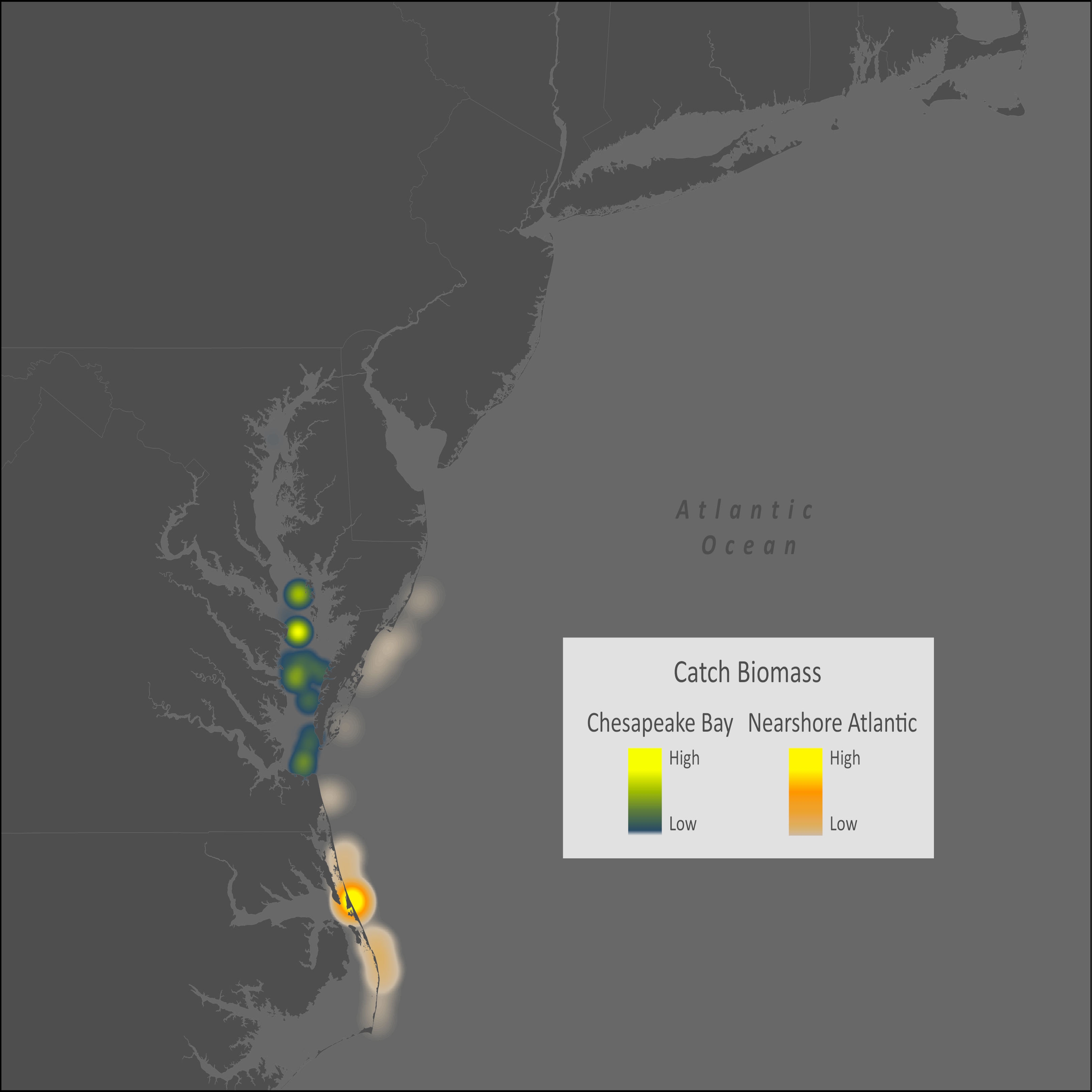 Red Drum Distribution