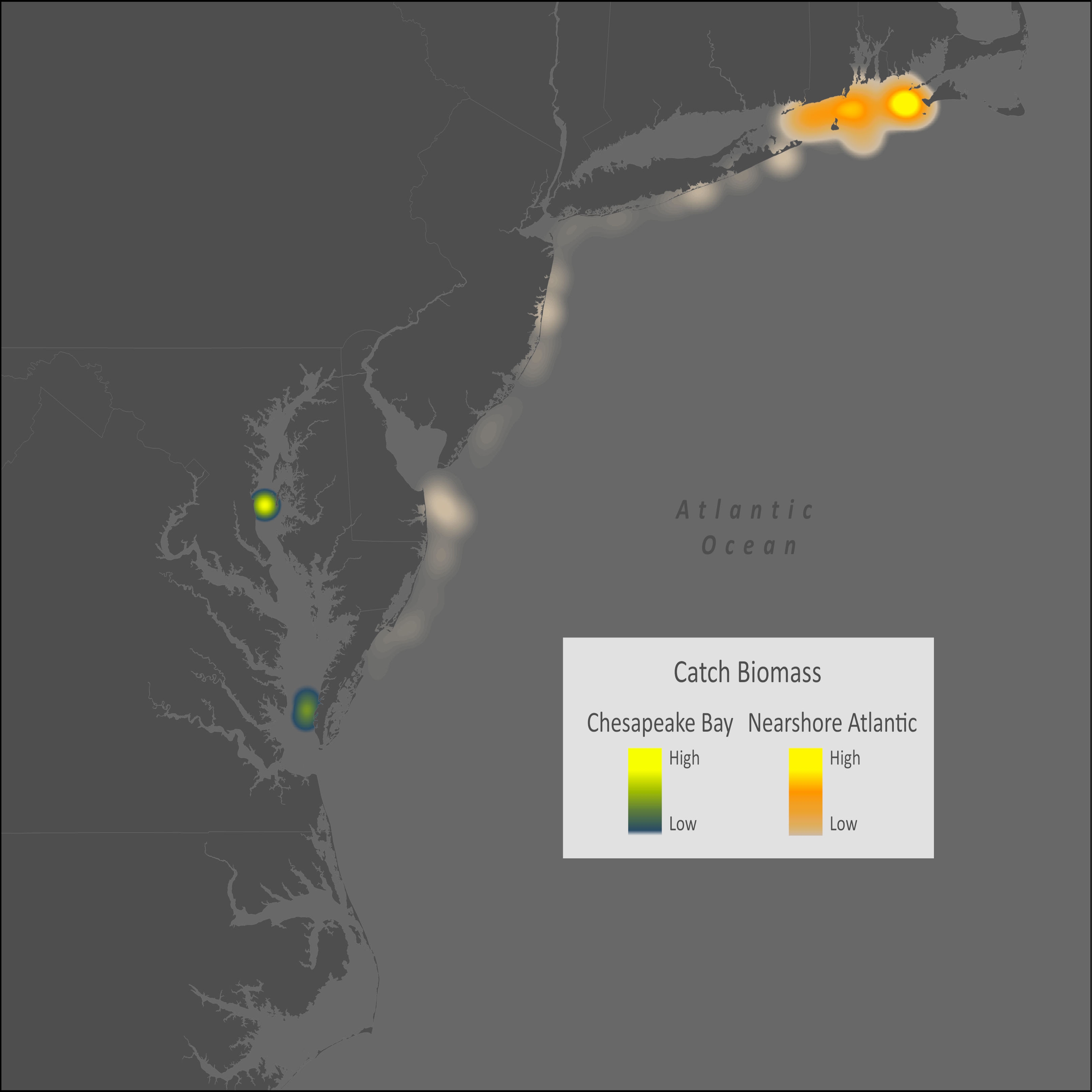 Silver Hake Distribution