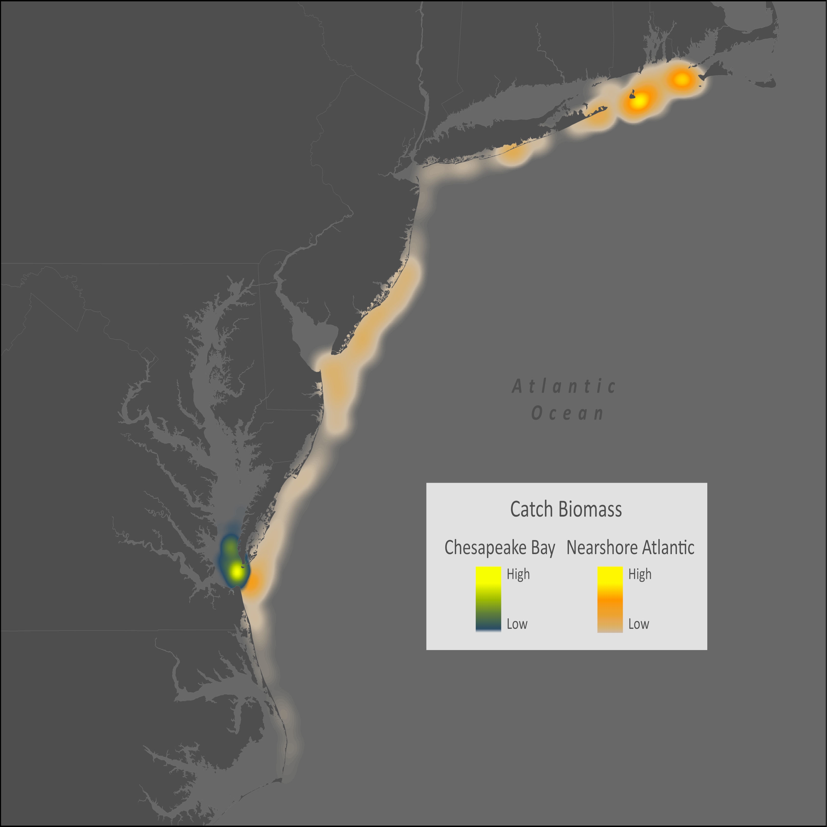 Spiny Dogfish Distribution