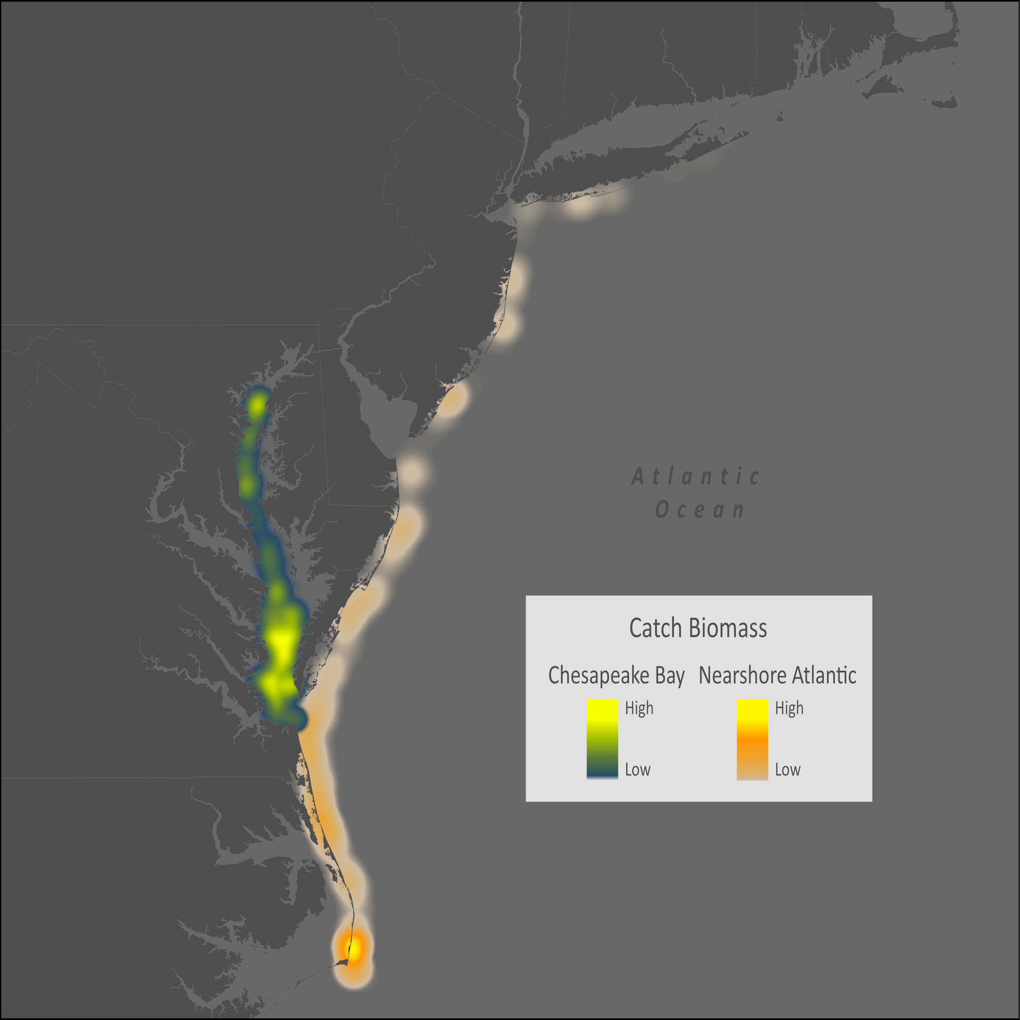 Spot Distribution