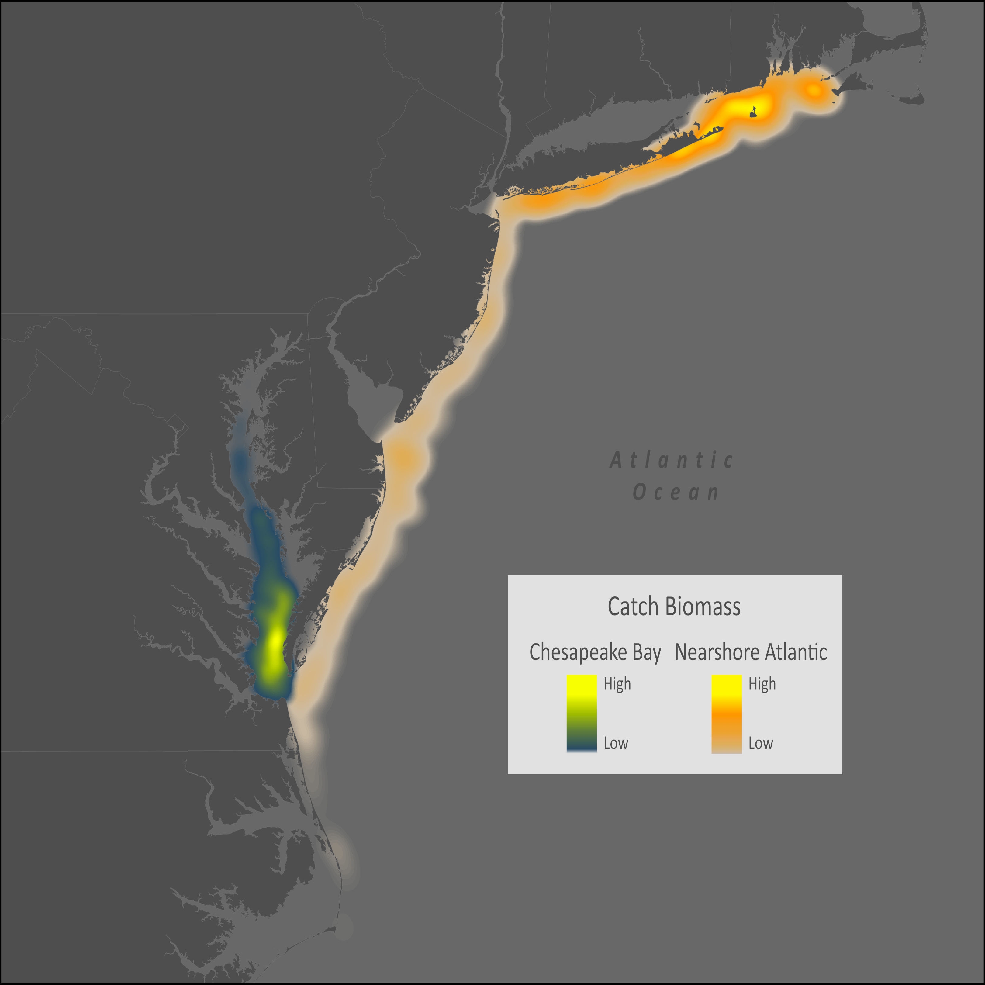 Summer Flounder Distribution