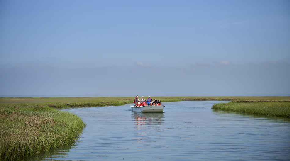 ESL staff transported students and instructors to field sites throughout the Eastern Shore. 